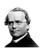 obrázek zesnulého: „Gregor Mendel, 1822 - 1884“
